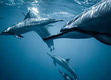 168体育手机网页版登录入口——随时随地掌控体育世界